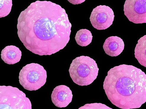 金華免疫干細(xì)胞作用及臨床應(yīng)用前景？