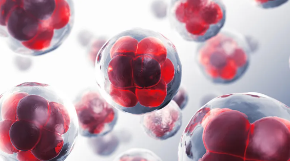 干細(xì)胞治療問(wèn)題解答：如何有效修復(fù)損傷？