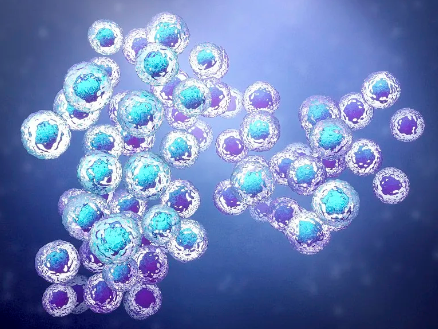 干細胞老化機制研究：揭秘衰老的秘密？