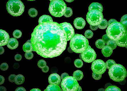 干細(xì)胞基因克隆價(jià)格如何？性價(jià)比高嗎？