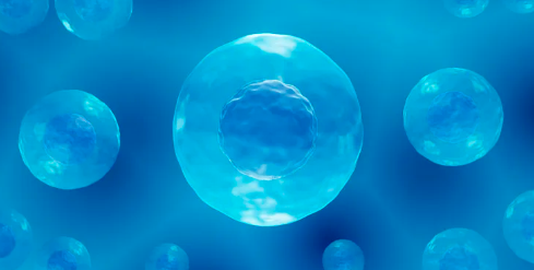 干細(xì)胞療法修復(fù)脊髓損傷效果怎樣？