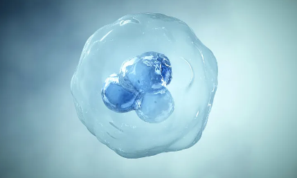 重慶醫(yī)美干細(xì)胞存儲(chǔ)哪家機(jī)構(gòu)更可靠？