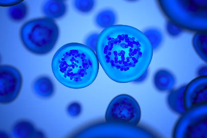 脊髓斷裂干細(xì)胞移植費(fèi)用貴嗎？如何申請(qǐng)？