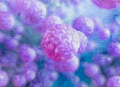 干細胞移植抗衰老真的有效嗎？專家解答。