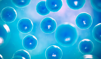 干細(xì)胞采集過程中手腳麻木是什么原因？