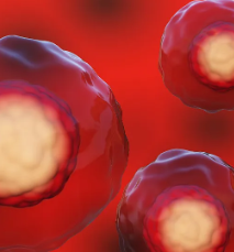 深圳權(quán)威干細(xì)胞測試機(jī)構(gòu)推薦與評價。