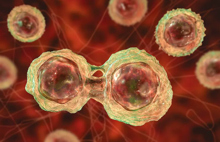 醫(yī)院打干細(xì)胞一針多少錢？性價比分析。