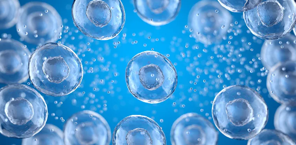 腦萎縮干細胞療法效果如何？哪種干細胞治療技術更先進？