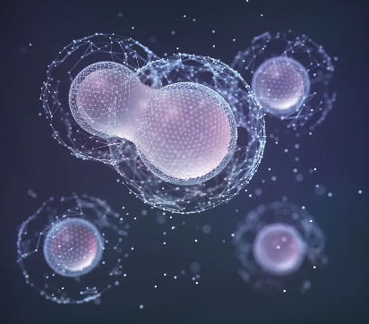 當(dāng)前干細(xì)胞研究領(lǐng)域有哪些突破？未來發(fā)展趨勢是什么？