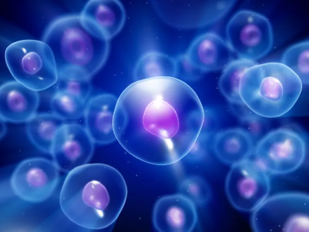 免疫干細胞提取費用貴嗎？哪家醫(yī)院提取技術(shù)成熟？