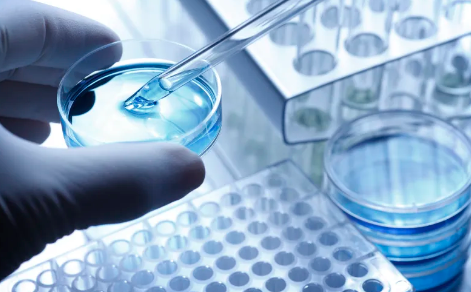 干細(xì)胞填充全過程視頻教程哪里找？需要注意哪些操作要點？