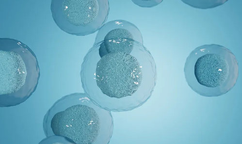 海南博鰲干細(xì)胞醫(yī)院聯(lián)系方式：預(yù)約掛號流程是怎樣的？