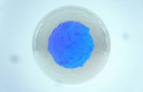 干細(xì)胞研究如何申請(qǐng)備案經(jīng)費(fèi)？