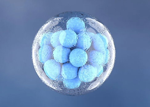 杭州免疫干細(xì)胞如何發(fā)揮治療作用？