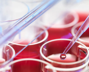 干細(xì)胞療法對(duì)血液凈化有何幫助？