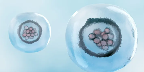 干細(xì)胞治療終身不孕效果怎么樣？