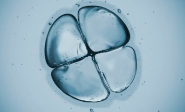 蘋果干細(xì)胞功效有哪些案例？