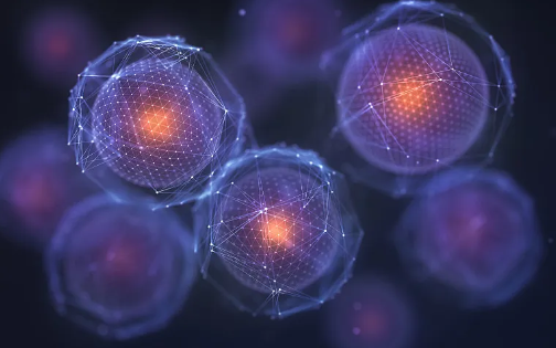 哪里可以打干細(xì)胞抗衰老針？