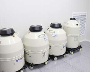 廈門三代試管嬰兒的價(jià)格多少錢