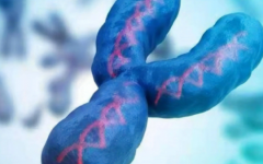 男方基因有問題能做試管嗎