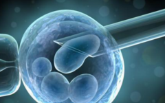 中國人民?？?1中心醫(yī)院試管費用及成功率