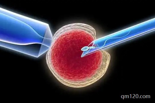 三代試管是凍胚還是囊胚