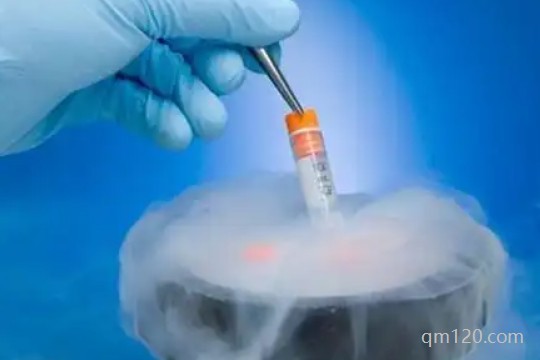 解凍移植有幾種方案