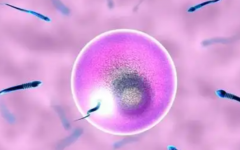 廈門市婦幼保健院試管嬰兒費用多少