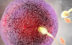 保山安利醫(yī)院做試管需要多少錢