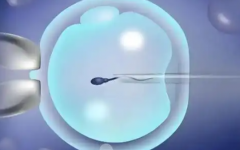 馬來西亞生豐醫(yī)院試管價格