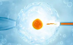 三代試管費用和成功率