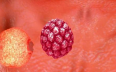 三代試管費(fèi)用總共多少