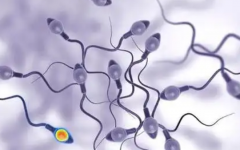 男的精子有問題能試管嗎