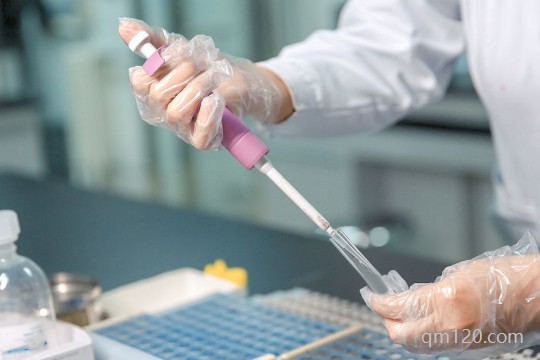 葉海洋在哪里做的試管嬰兒