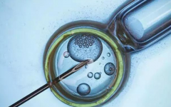 廣西南溪山醫(yī)院試管多少錢