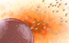 海南省中醫(yī)院試管嬰兒費(fèi)用