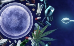 女方艾滋病可以做試管嬰兒?jiǎn)?>
            <div   id=