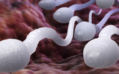 岳陽市婦幼保健院試管嬰兒費用