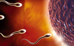 為何私立醫(yī)院試管成功率高