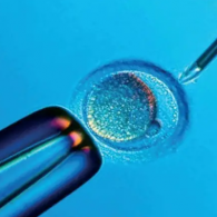 試管嬰兒技術(shù)