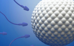 格魯吉亞三代試管費(fèi)用多少