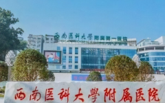 西南醫(yī)科大學附屬醫(yī)院試管嬰兒成功率