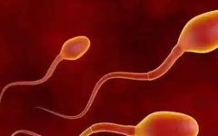 男的不能生育能做試管嗎