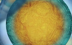 上海正規(guī)助孕公司醫(yī)院試管嬰兒價(jià)格指南