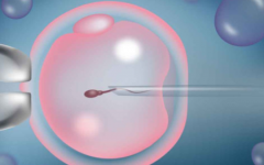 ?？频?06醫(yī)院試管嬰兒費(fèi)用公布