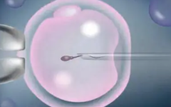 試管嬰兒可以報銷醫(yī)保嗎