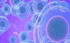 莆田學(xué)院附屬醫(yī)院試管全部下來(lái)要多少錢(qián)