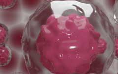 深圳市試管助孕中心做試管總費(fèi)用大概是多少錢(qián)