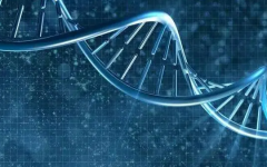 泰國試管移植幾次成功