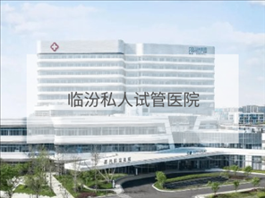 臨汾私立試管機(jī)構(gòu)